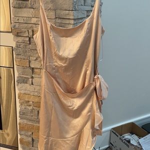 Princess Polly dress ! Never worn